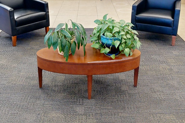 Oval coffee table | My Website